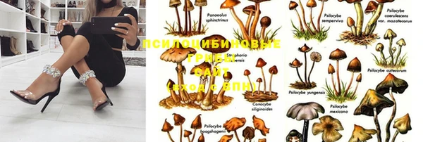 герыч Нефтегорск