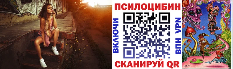 Псилоцибиновые грибы Magic Shrooms  МЕГА ТОР  Поворино  где купить наркотик 
